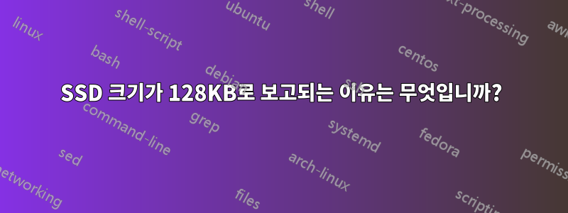 SSD 크기가 128KB로 보고되는 이유는 무엇입니까?