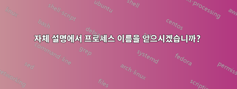 자체 설명에서 프로세스 이름을 얻으시겠습니까?