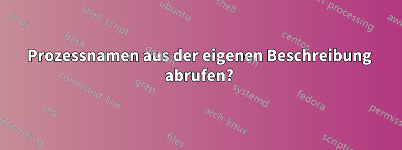 Prozessnamen aus der eigenen Beschreibung abrufen?