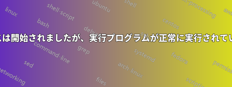 サービスは開始されましたが、実行プログラムが正常に実行されていません