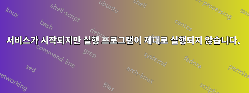 서비스가 시작되지만 실행 프로그램이 제대로 실행되지 않습니다.