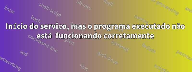 Início do serviço, mas o programa executado não está funcionando corretamente