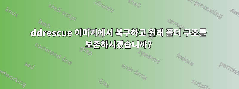 ddrescue 이미지에서 복구하고 원래 폴더 구조를 보존하시겠습니까?