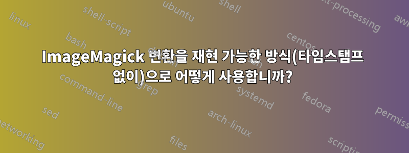 ImageMagick 변환을 재현 가능한 방식(타임스탬프 없이)으로 어떻게 사용합니까?