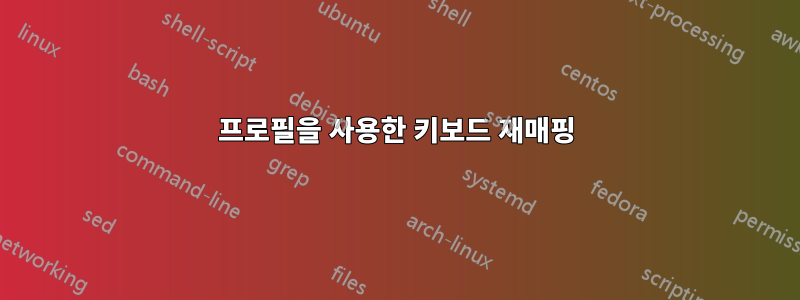 프로필을 사용한 키보드 재매핑
