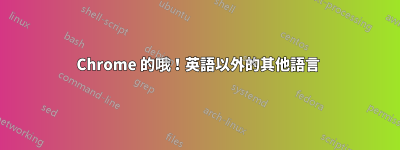 Chrome 的哦！英語以外的其他語言