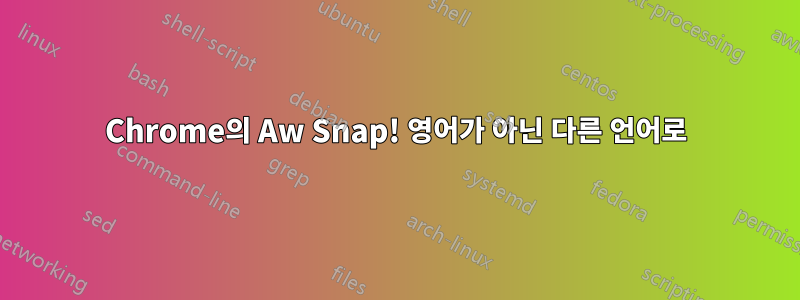 Chrome의 Aw Snap! 영어가 아닌 다른 언어로