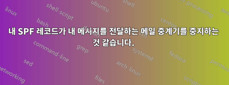 내 SPF 레코드가 내 메시지를 전달하는 메일 중계기를 중지하는 것 같습니다.