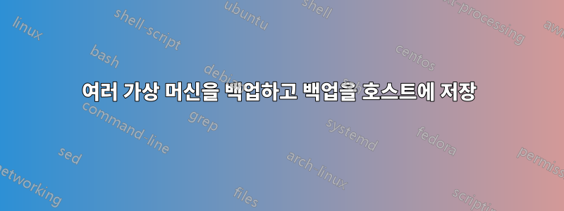 여러 가상 머신을 백업하고 백업을 호스트에 저장