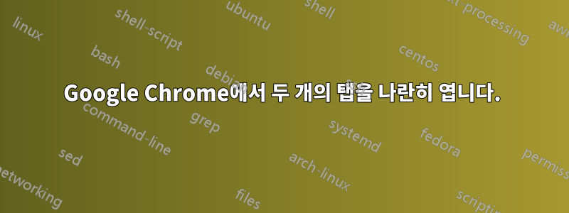 Google Chrome에서 두 개의 탭을 나란히 엽니다.