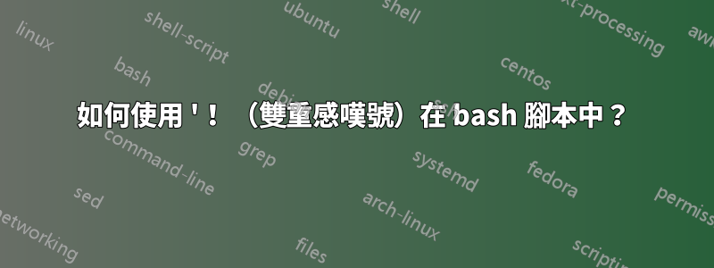 如何使用 '！ （雙重感嘆號）在 bash 腳本中？