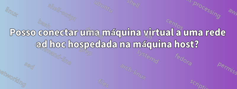 Posso conectar uma máquina virtual a uma rede ad hoc hospedada na máquina host?