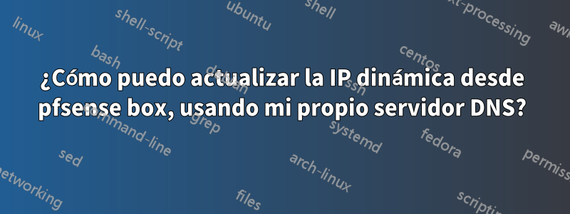 ¿Cómo puedo actualizar la IP dinámica desde pfsense box, usando mi propio servidor DNS?