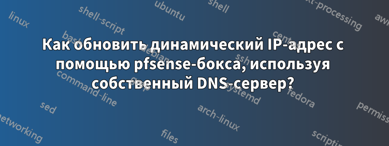 Как обновить динамический IP-адрес с помощью pfsense-бокса, используя собственный DNS-сервер?