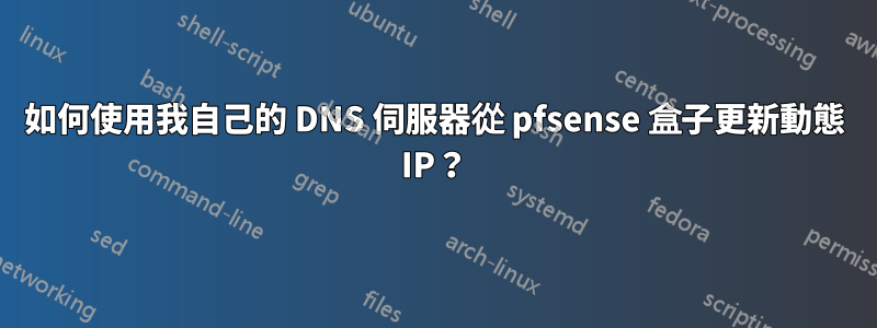 如何使用我自己的 DNS 伺服器從 pfsense 盒子更新動態 IP？