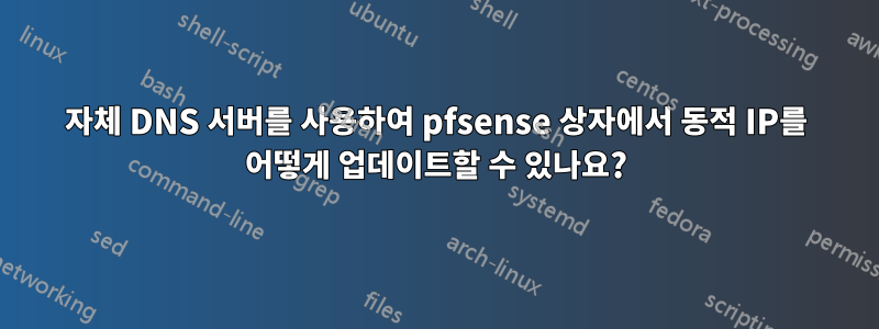 자체 DNS 서버를 사용하여 pfsense 상자에서 동적 IP를 어떻게 업데이트할 수 있나요?