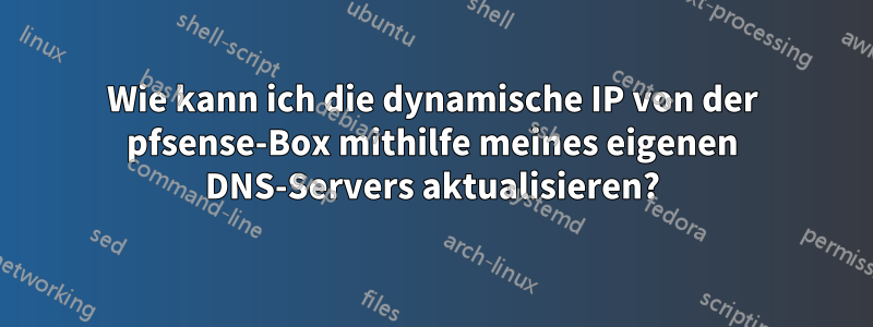 Wie kann ich die dynamische IP von der pfsense-Box mithilfe meines eigenen DNS-Servers aktualisieren?