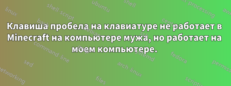 Клавиша пробела на клавиатуре не работает в Minecraft на компьютере мужа, но работает на моем компьютере.