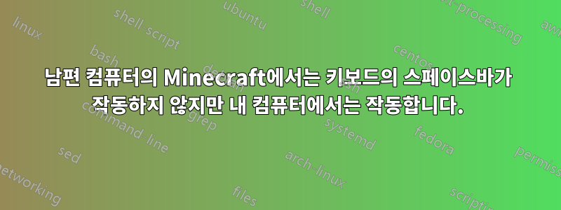 남편 컴퓨터의 Minecraft에서는 키보드의 스페이스바가 작동하지 않지만 내 컴퓨터에서는 작동합니다.