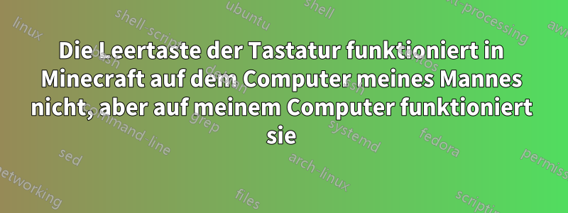 Die Leertaste der Tastatur funktioniert in Minecraft auf dem Computer meines Mannes nicht, aber auf meinem Computer funktioniert sie