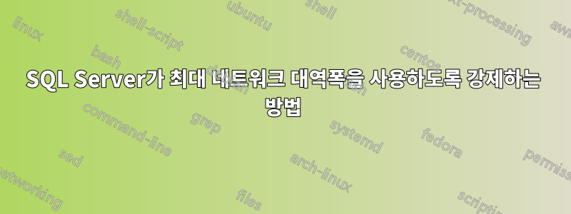 SQL Server가 최대 네트워크 대역폭을 사용하도록 강제하는 방법