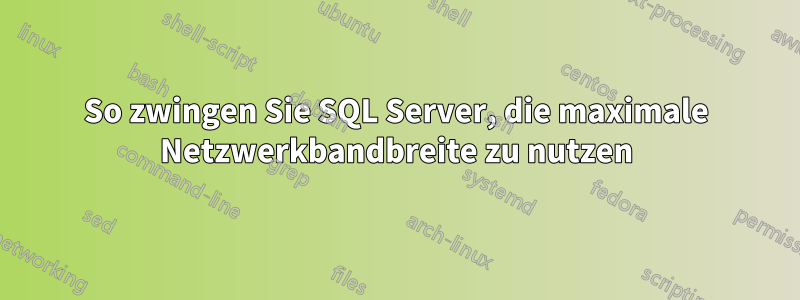 So zwingen Sie SQL Server, die maximale Netzwerkbandbreite zu nutzen