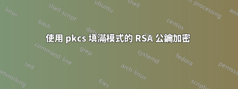 使用 pkcs 填滿模式的 RSA 公鑰加密