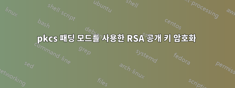 pkcs 패딩 모드를 사용한 RSA 공개 키 암호화