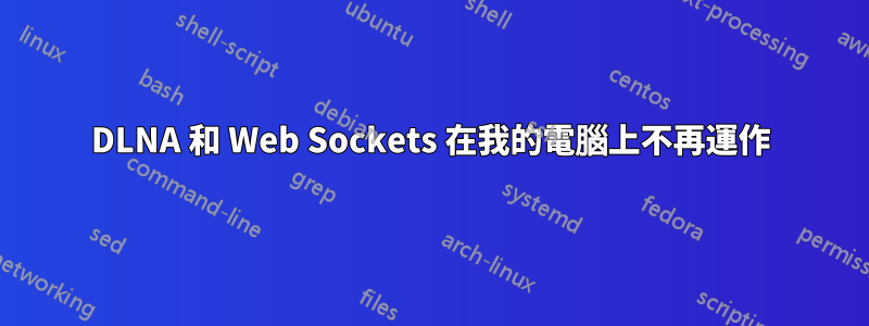 DLNA 和 Web Sockets 在我的電腦上不再運作