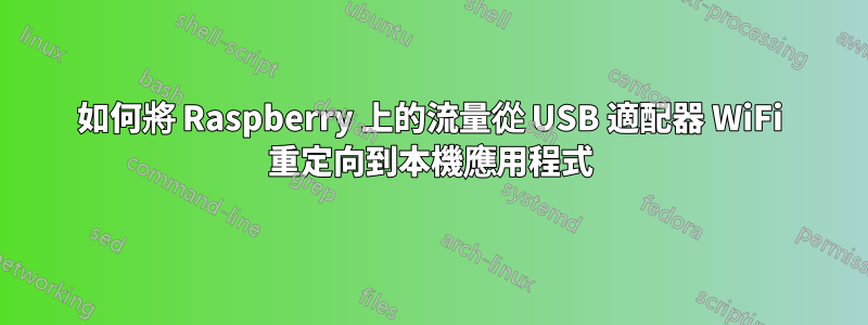 如何將 Raspberry 上的流量從 USB 適配器 WiFi 重定向到本機應用程式