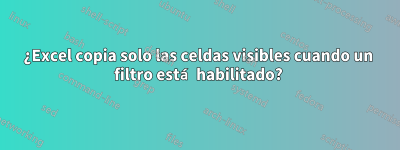 ¿Excel copia solo las celdas visibles cuando un filtro está habilitado?