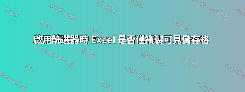 啟用篩選器時 Excel 是否僅複製可見儲存格