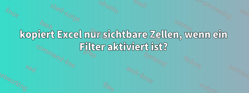 kopiert Excel nur sichtbare Zellen, wenn ein Filter aktiviert ist?