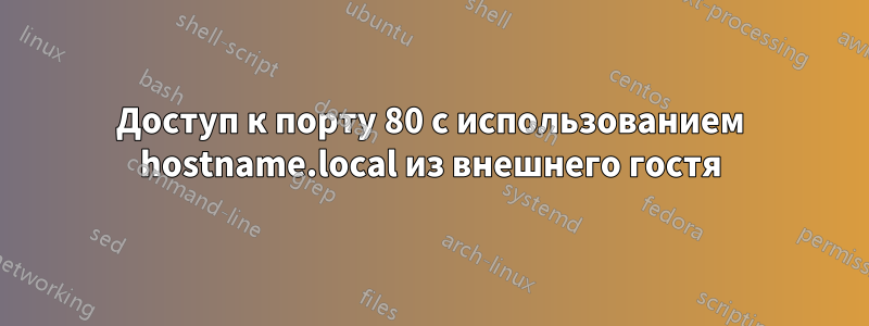 Доступ к порту 80 с использованием hostname.local из внешнего гостя