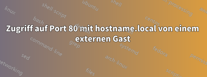 Zugriff auf Port 80 mit hostname.local von einem externen Gast