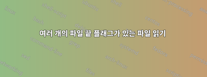 여러 개의 파일 끝 플래그가 있는 파일 읽기