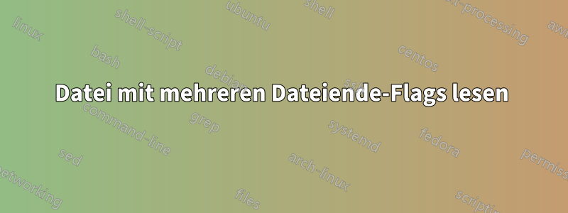 Datei mit mehreren Dateiende-Flags lesen