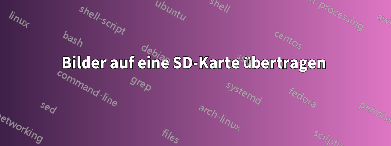 Bilder auf eine SD-Karte übertragen