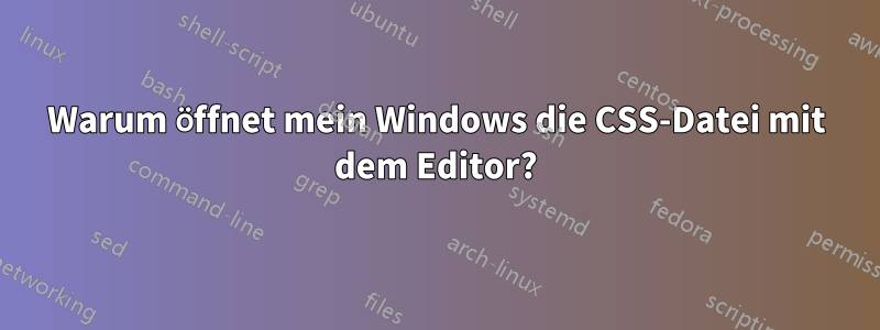 Warum öffnet mein Windows die CSS-Datei mit dem Editor?