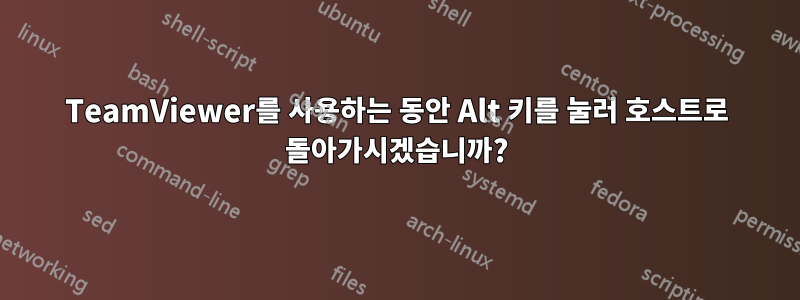 TeamViewer를 사용하는 동안 Alt 키를 눌러 호스트로 돌아가시겠습니까?