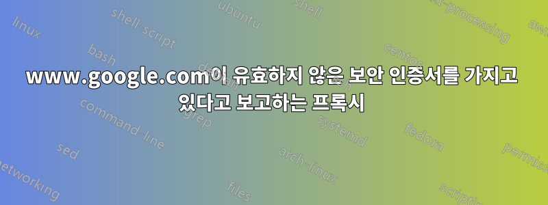 www.google.com이 유효하지 않은 보안 인증서를 가지고 있다고 보고하는 프록시