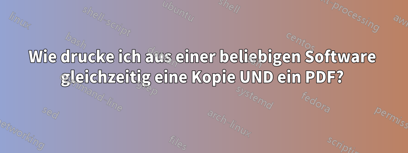 Wie drucke ich aus einer beliebigen Software gleichzeitig eine Kopie UND ein PDF?