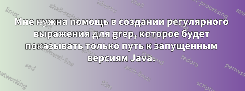 Мне нужна помощь в создании регулярного выражения для grep, которое будет показывать только путь к запущенным версиям Java.