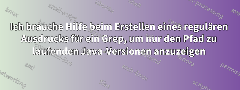 Ich brauche Hilfe beim Erstellen eines regulären Ausdrucks für ein Grep, um nur den Pfad zu laufenden Java-Versionen anzuzeigen