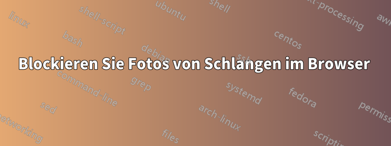 Blockieren Sie Fotos von Schlangen im Browser