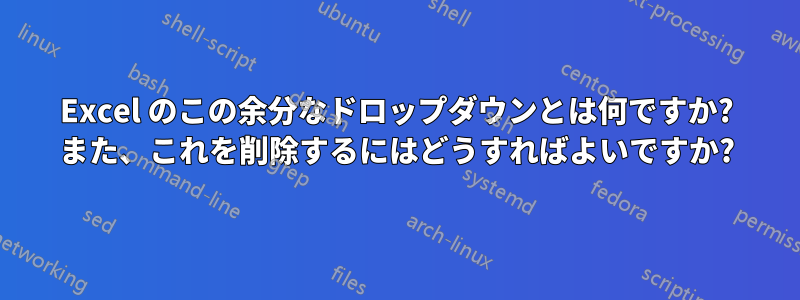 Excel のこの余分なドロップダウンとは何ですか? また、これを削除するにはどうすればよいですか?