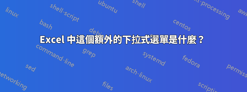 Excel 中這個額外的下拉式選單是什麼？