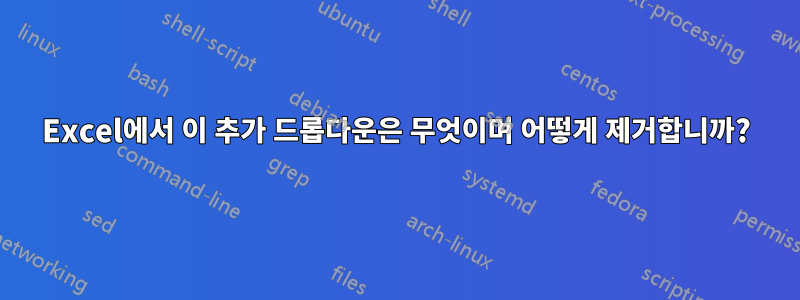 Excel에서 이 추가 드롭다운은 무엇이며 어떻게 제거합니까?