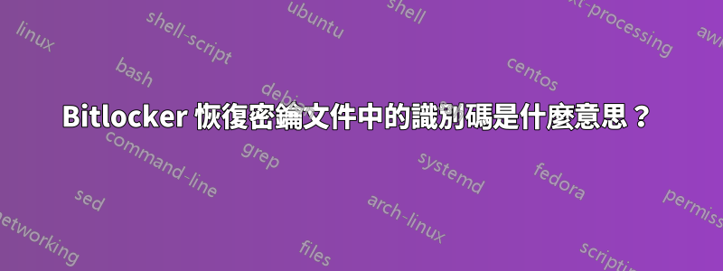 Bitlocker 恢復密鑰文件中的識別碼是什麼意思？