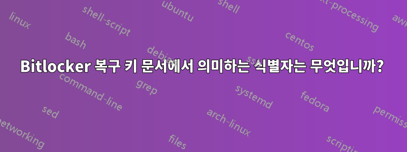 Bitlocker 복구 키 문서에서 의미하는 식별자는 무엇입니까?